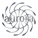 AURORA EDITION