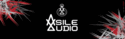 Asile Audio