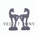 VELVET PONY