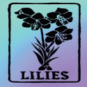 LILIES