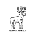 TROPICAL ANIMALS