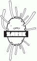 Zarek Records
