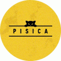 Pisica